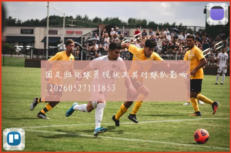 国足归化球员现状及其对球队影响_20260527111853