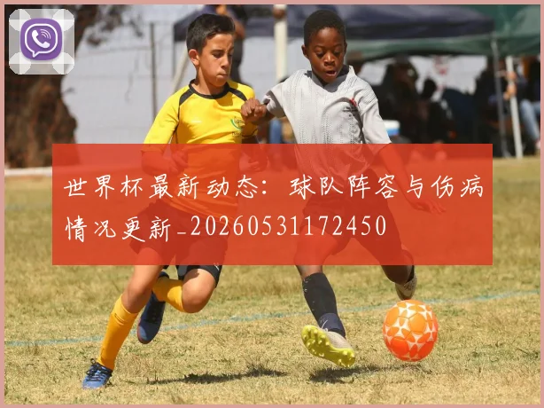 世界杯最新动态：球队阵容与伤病情况更新_20260531172450